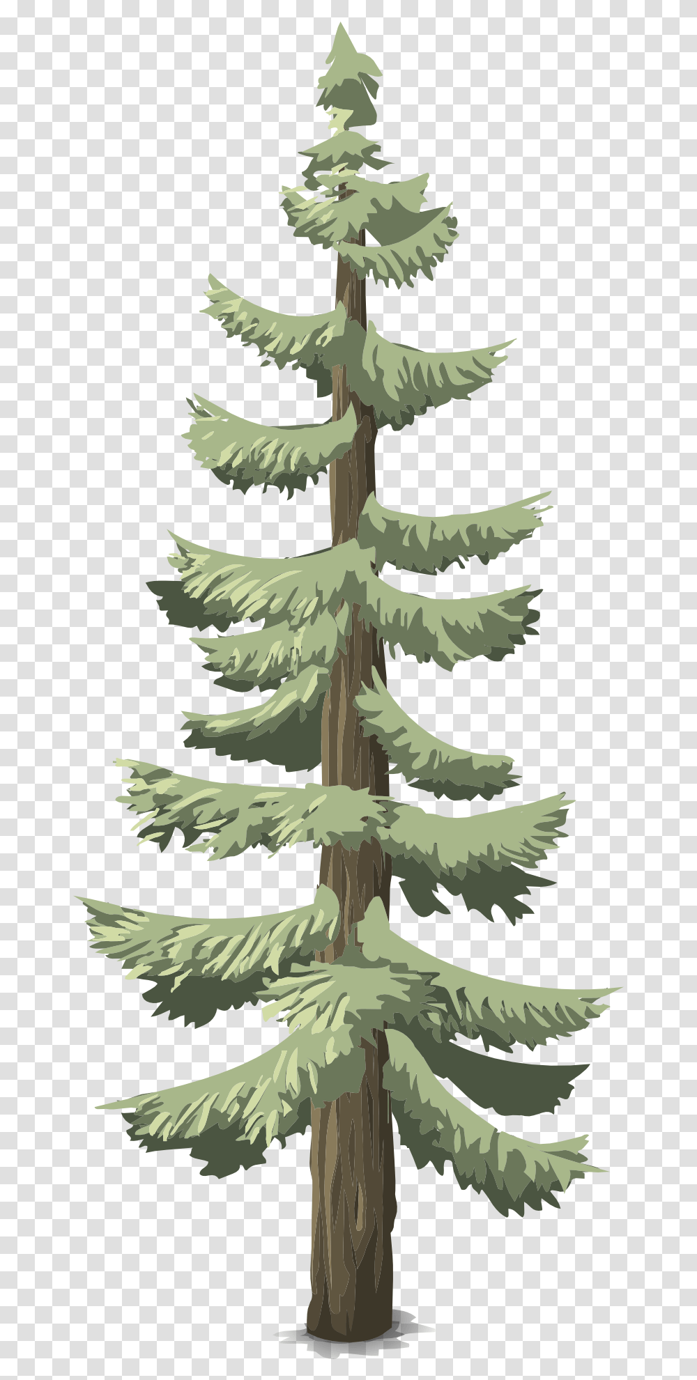 Arbol De Bosque, Tree, Plant, Conifer, Pine Transparent Png