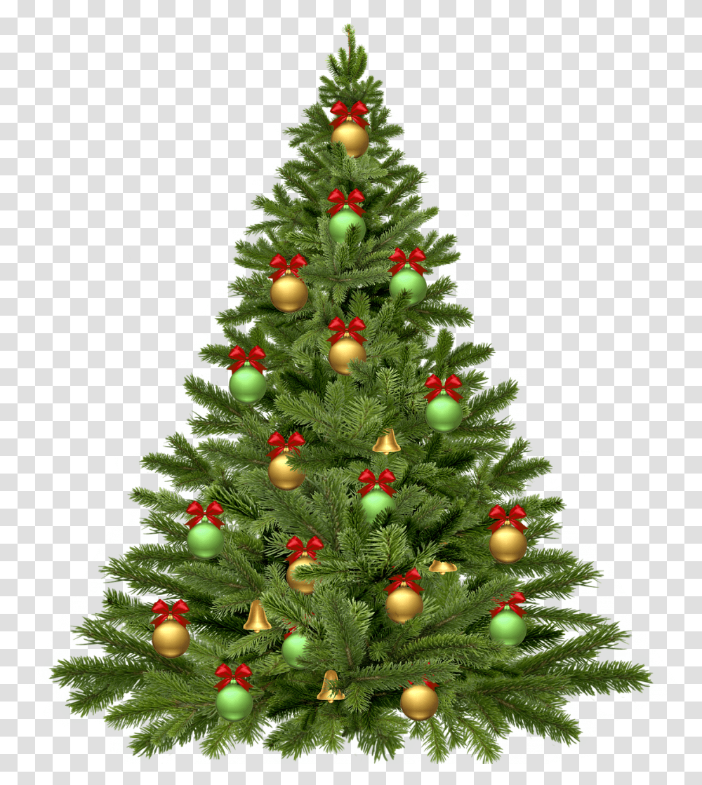 Arbol De Navidad Christmas Tree, Ornament, Plant Transparent Png