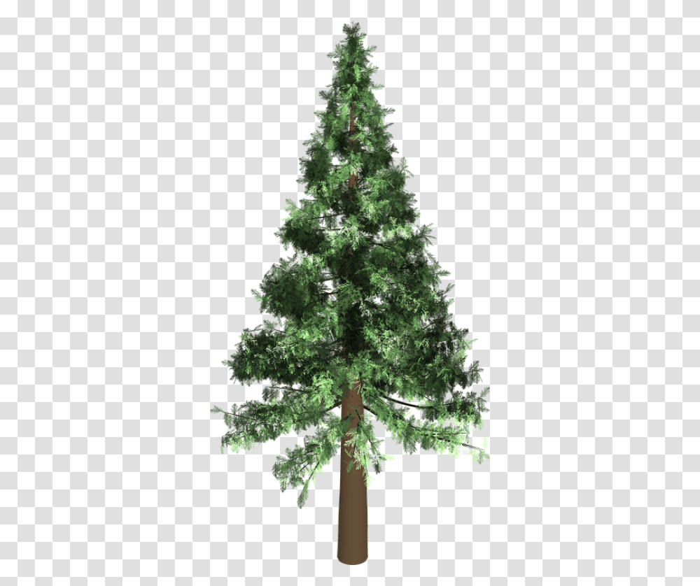 Arbol Pino, Tree, Plant, Christmas Tree, Ornament Transparent Png