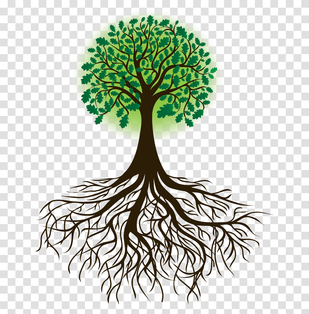 Arbol Raices Borges Tree Of Life, Plant, Root, Lamp Transparent Png