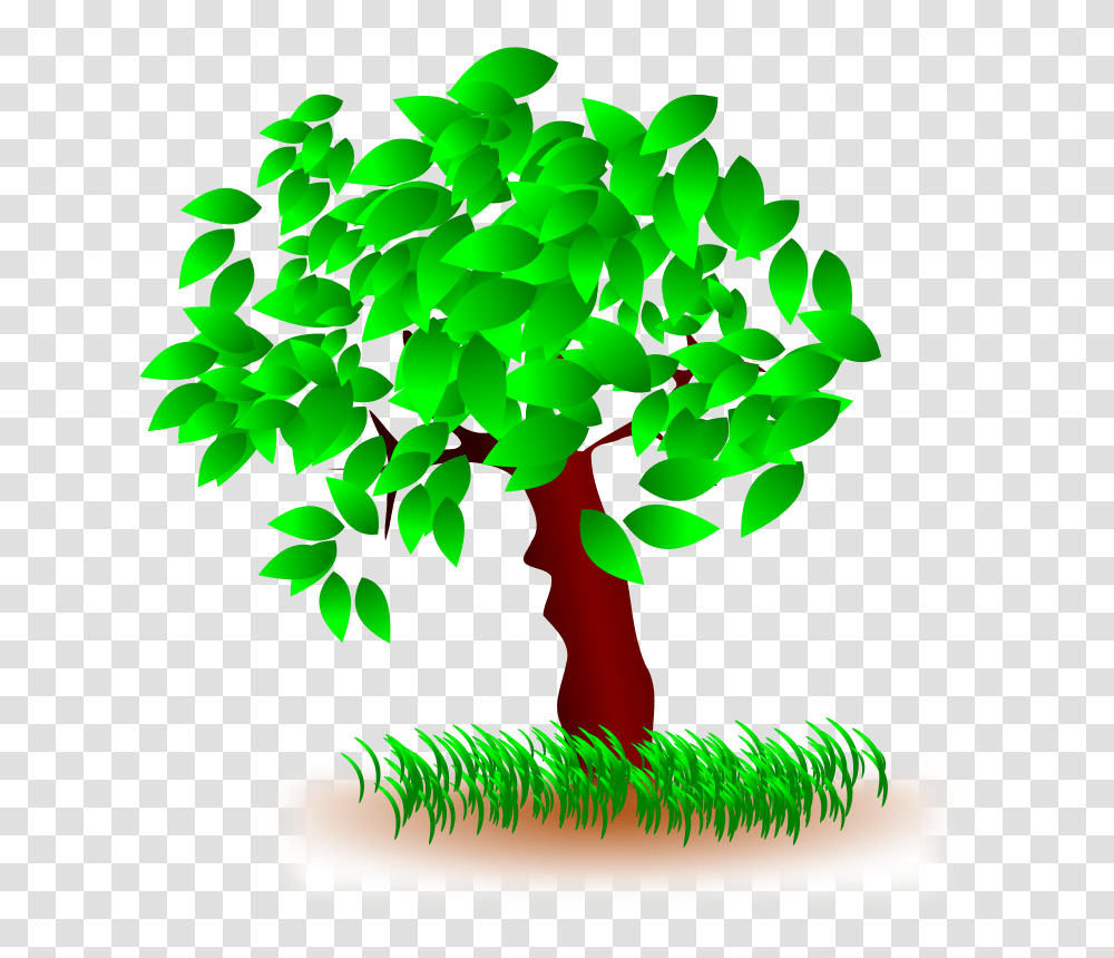 Arbol Tree, Nature, Plant Transparent Png