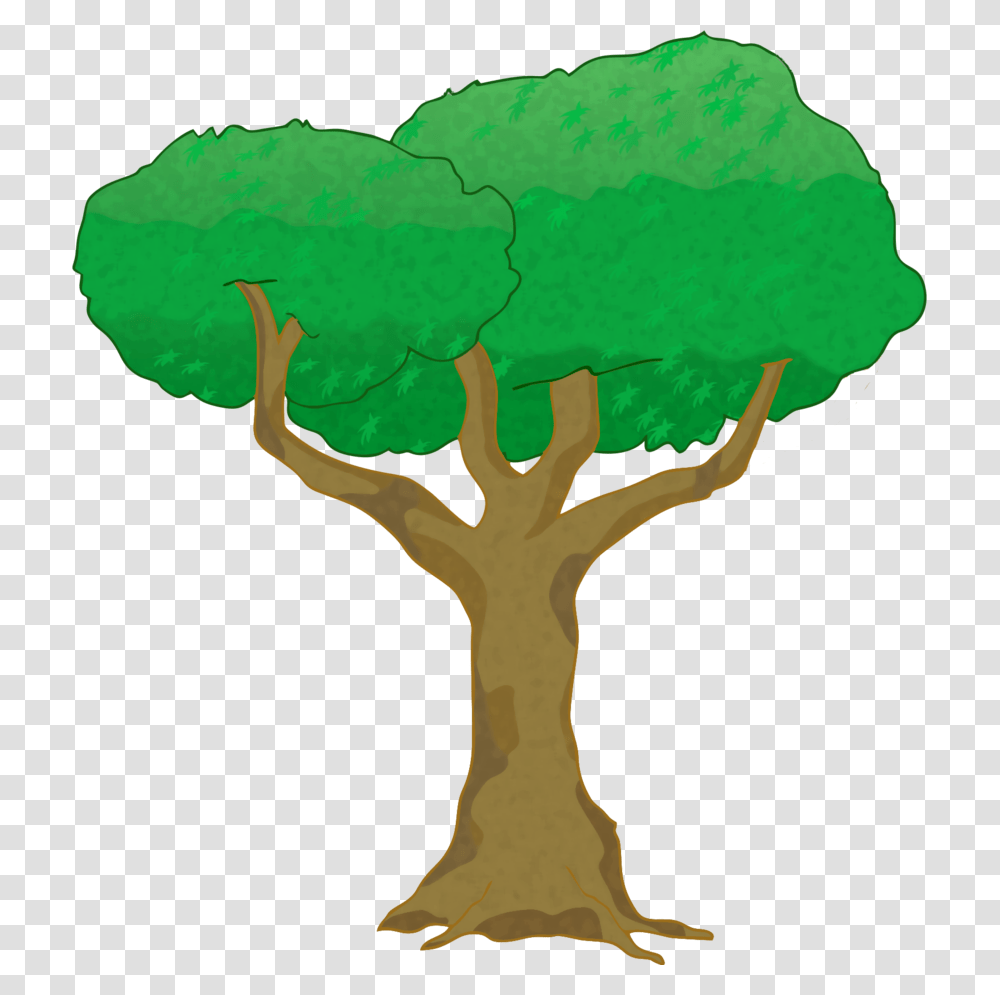 Arbol, Tree, Plant, Outdoors, Nature Transparent Png