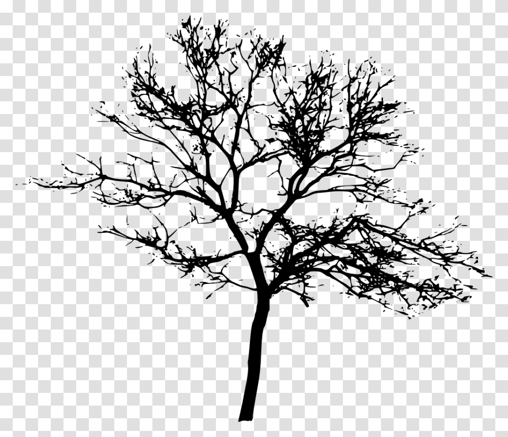 Arbol Tree Shadow Sombra Tree Silhouette, Gray, World Of Warcraft Transparent Png