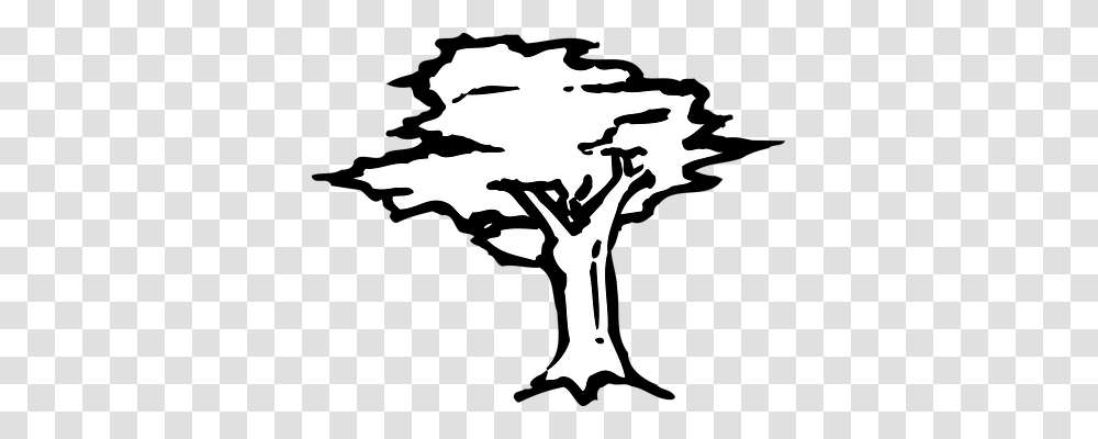 Arbor Stencil, Silhouette, Plant, Tree Transparent Png