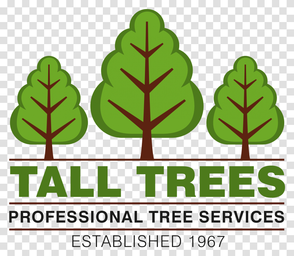 Arborist In Stockport Tall Trees Professional Tree Manyas Bird Paradise National Park, Leaf, Plant, Green, Label Transparent Png