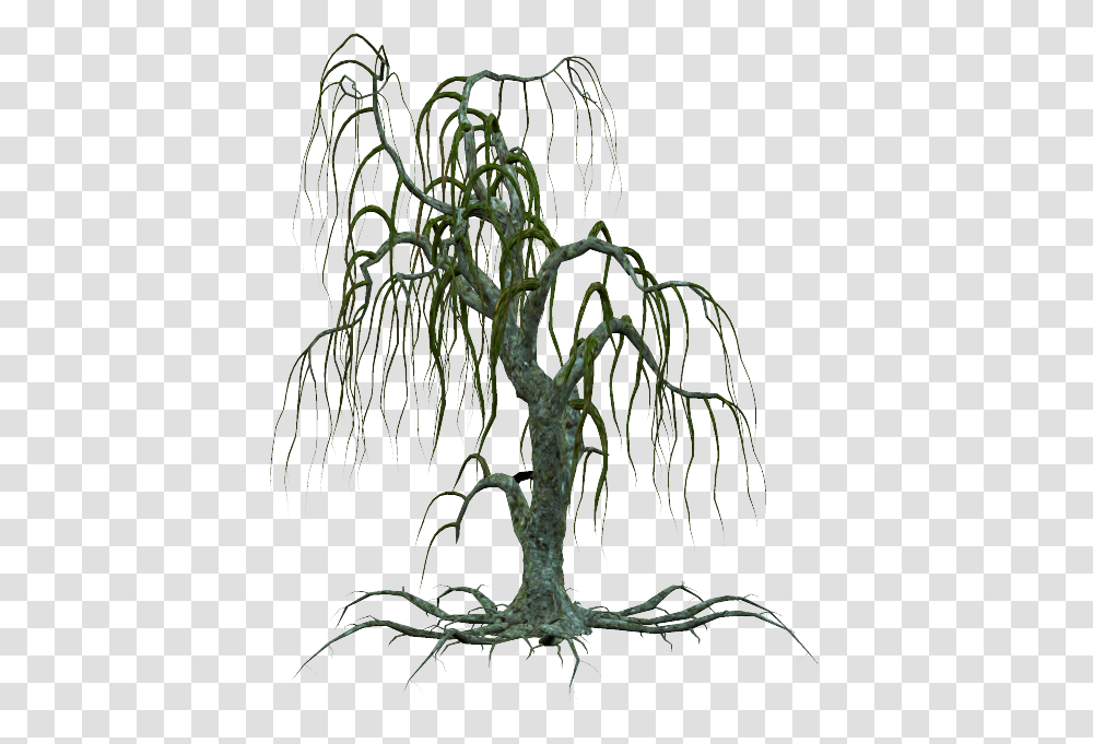 Arbre Tube Feuilles Paysage Creepy Dead Tree Silhouette, Plant, Root, Bonsai, Potted Plant Transparent Png
