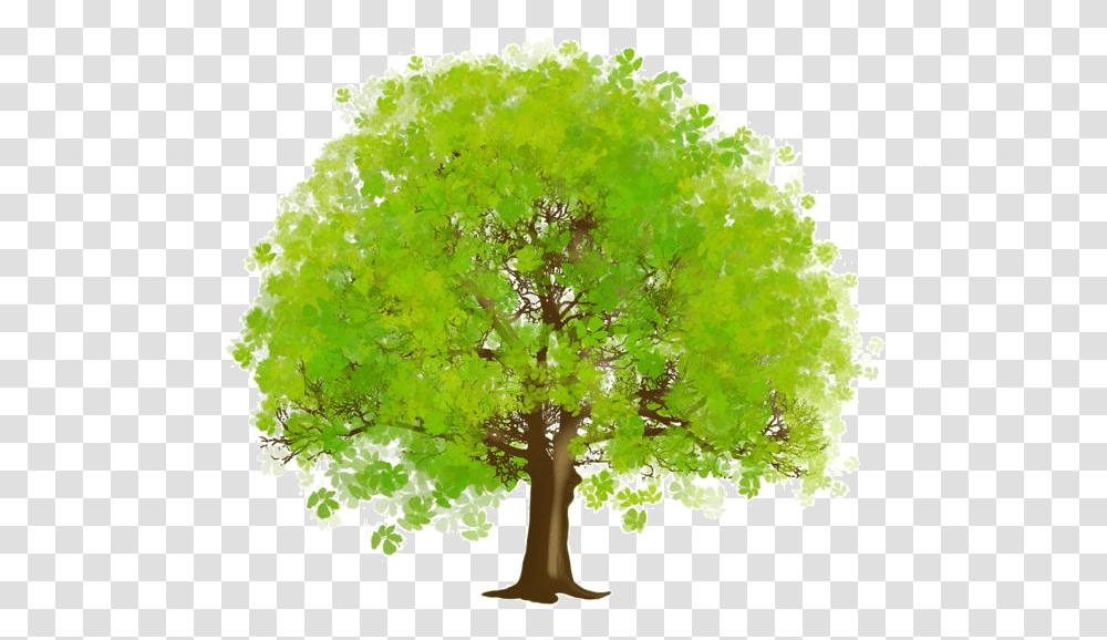 Arbre Tubes Ief Arbretubespng Green Trees Clipart Tree, Plant, Potted Plant, Vase, Jar Transparent Png