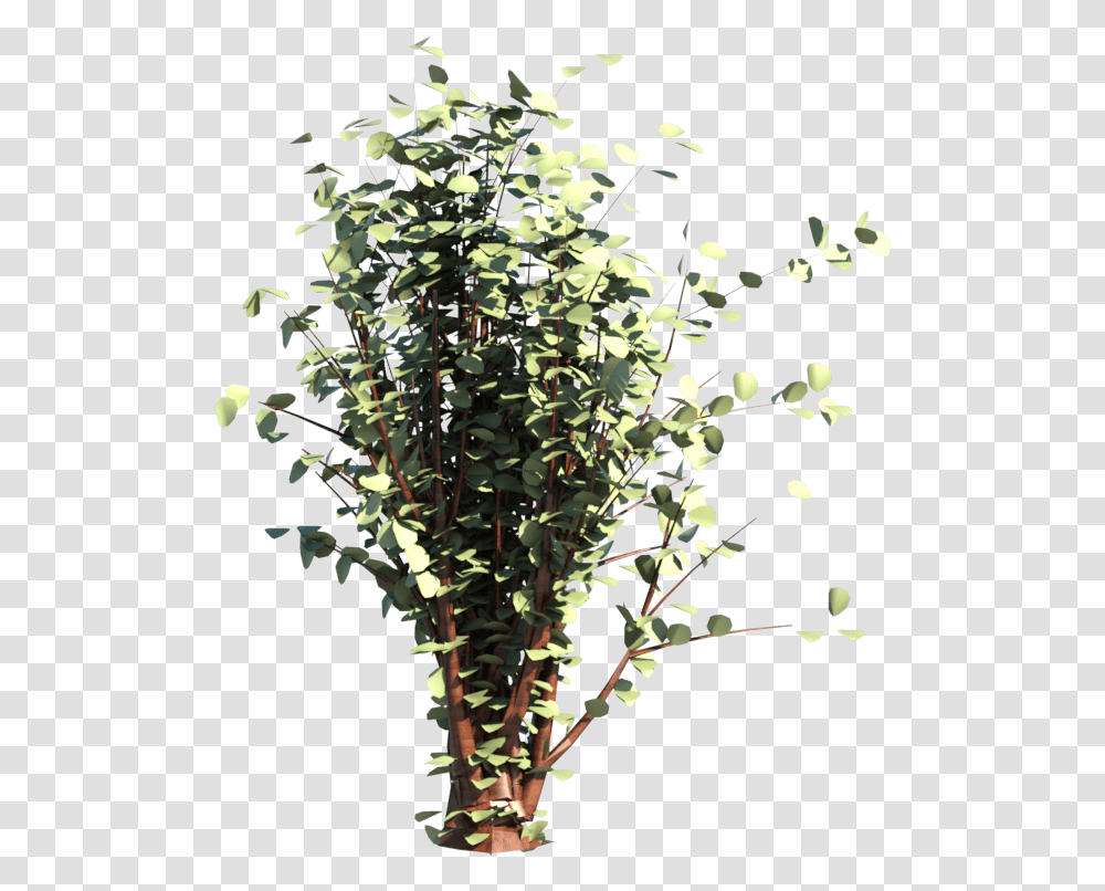Arbusto Flores Imagens Arbusto, Plant, Floral Design, Pattern Transparent Png