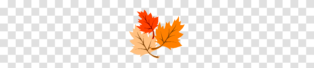 Arbutus Fall Festival Welcome To Gaba, Leaf, Plant, Tree, Poster Transparent Png