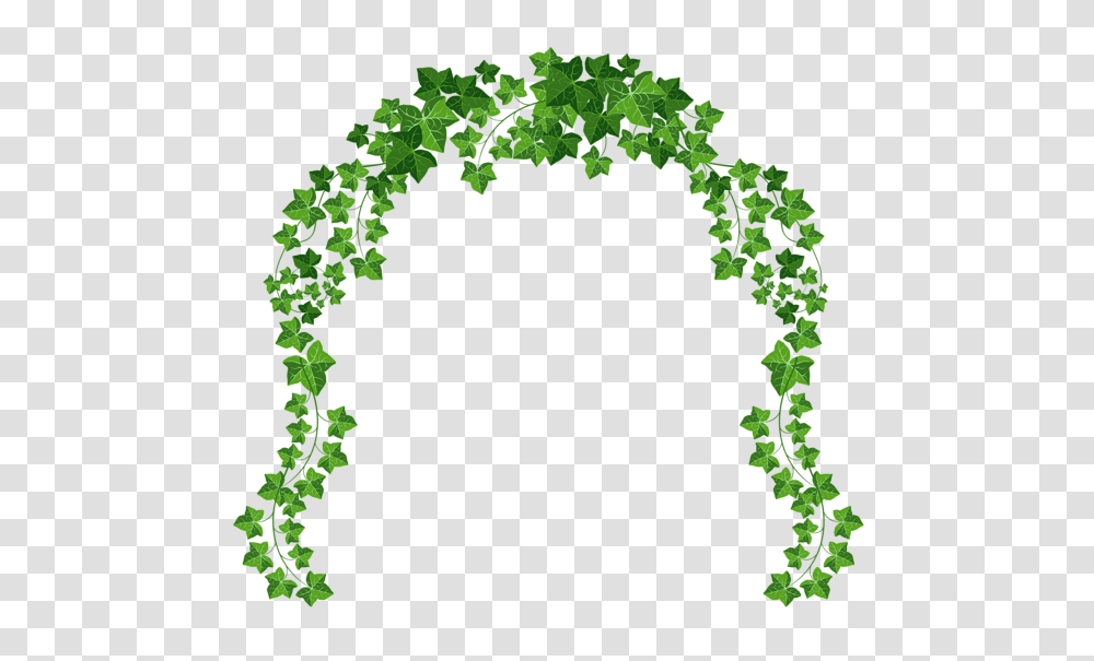 Arch Clipart Flower Arch, Green, Plant, Ivy, Leaf Transparent Png