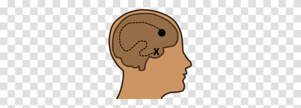 Archaeological Dig Split Second Research, Head, Hand, Neck Transparent Png