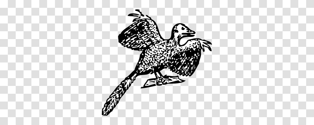 Archaeopteryx Animals, Stencil, Bird Transparent Png