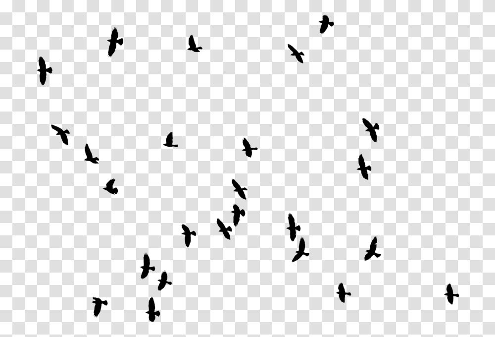 Architecture Birds For Photoshop, Nature, Outdoors, Astronomy, Outer Space Transparent Png