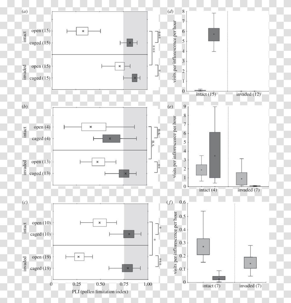 Architecture, Floor Plan, Diagram, Plot Transparent Png