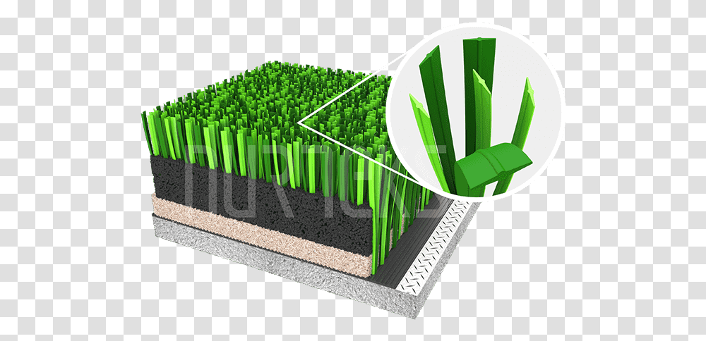 Architecture, Plant, Produce, Food Transparent Png