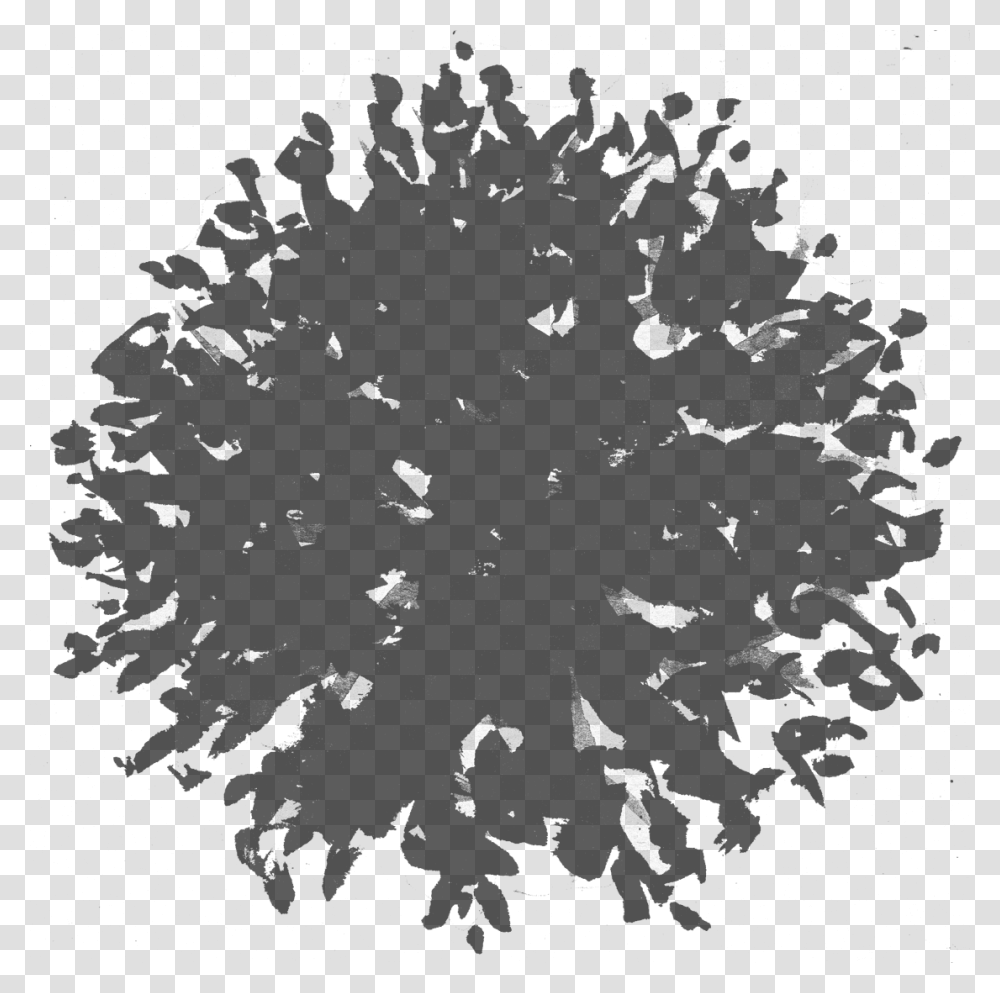 Architecture Tree Plan, Outdoors, Nature, Gray, Night Transparent Png