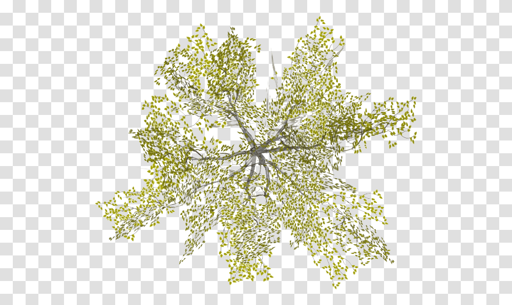 Architecture Tree Plan, Plant, Fractal, Pattern, Ornament Transparent Png