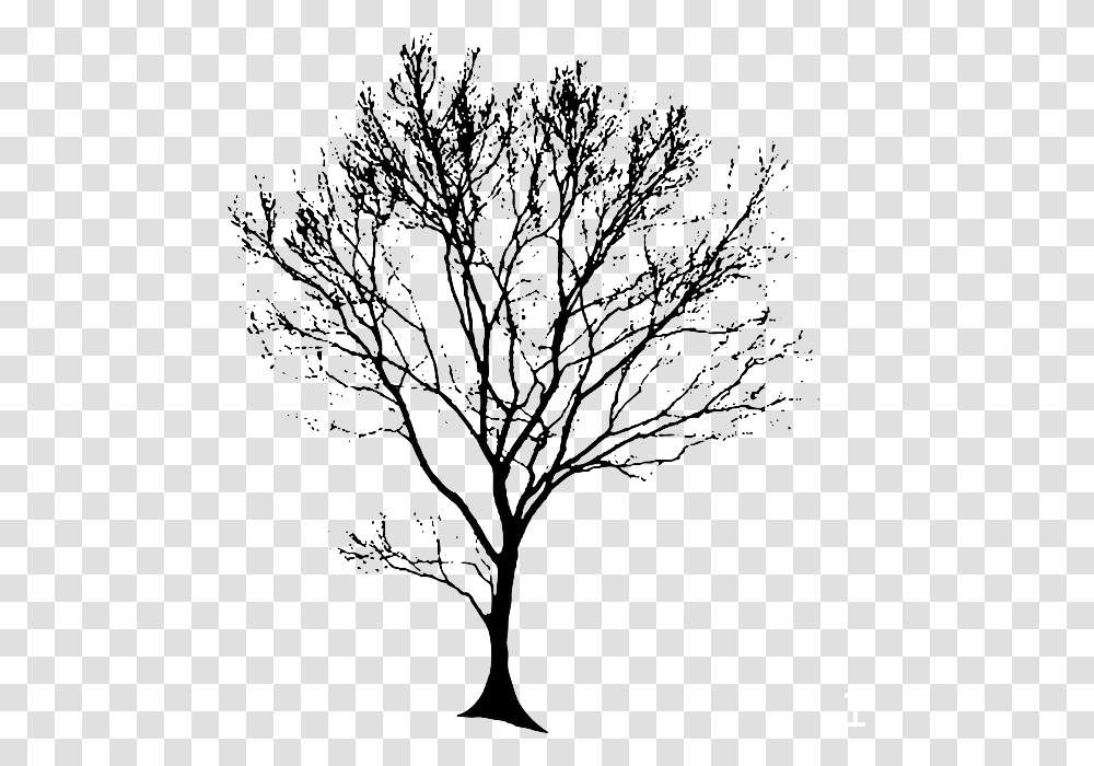 Architecture Tree Silhouette, Drawing, Plant, Doodle Transparent Png