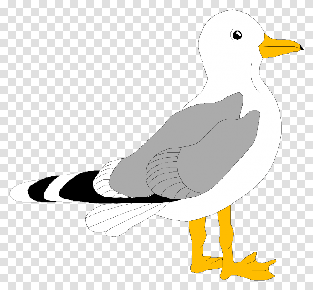 Architetto Gabboano Piccolo Clipart I2clipart Royalty Bird Clip Art, Animal, Seagull, Beak, Person Transparent Png