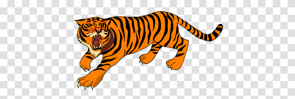 Architetto Tigre Clipart, Mammal, Animal, Wildlife, Tiger Transparent Png