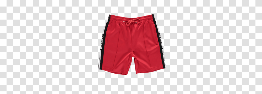 Archive, Shorts, Apparel Transparent Png