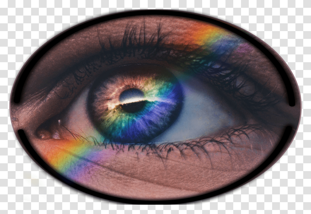 Arcoiris Can We Change Our Eye Colour, Contact Lens, Skin, Tattoo, Sunglasses Transparent Png