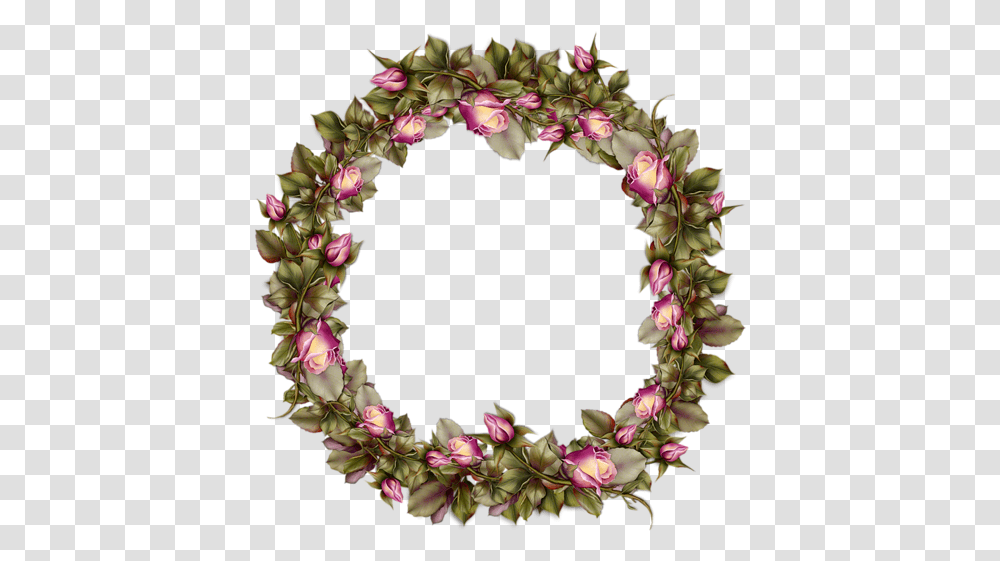 Arcos De Flores Em Imagens, Plant, Petal, Flower, Blossom Transparent Png