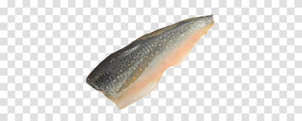 Arctic Char Food, Trout, Fish, Animal Transparent Png