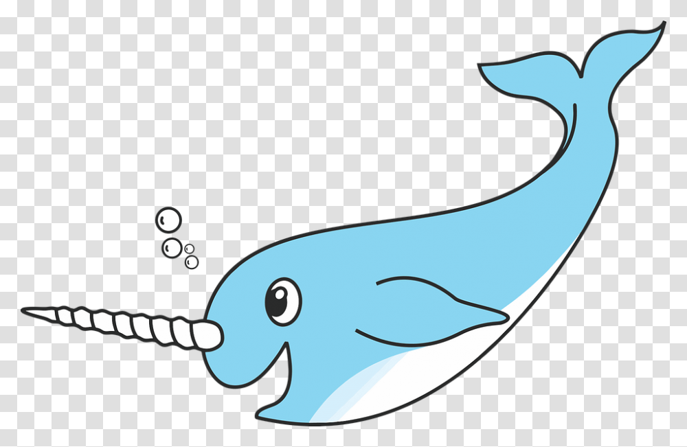 Arctic Clipart Cartoon Background Narwhal, Sea Life, Animal, Mammal, Dolphin Transparent Png