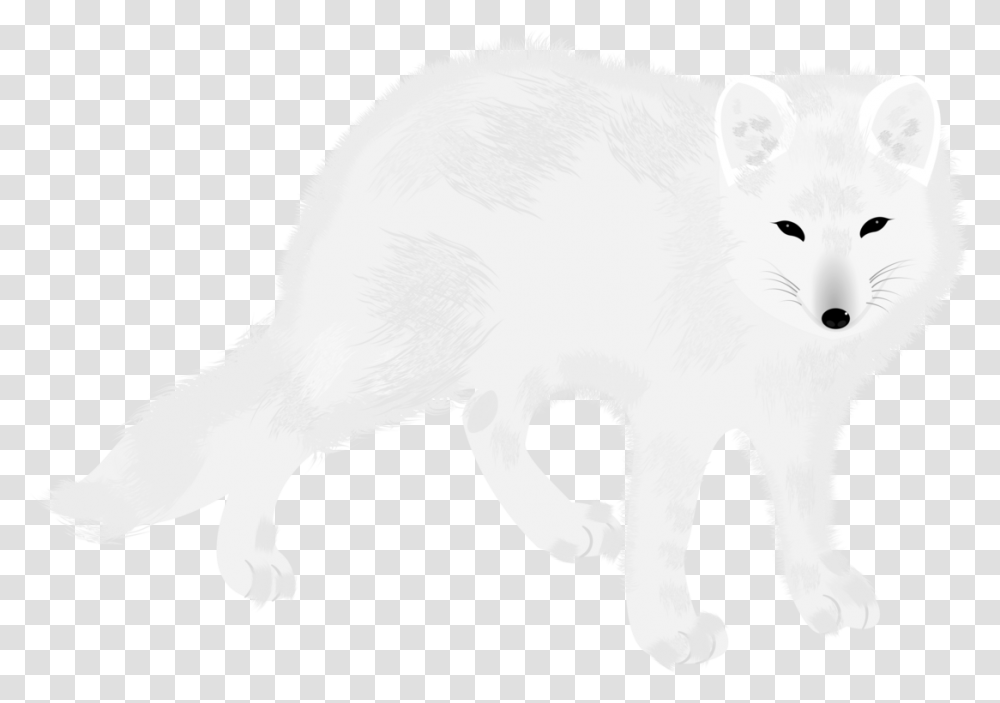 Arctic Foxcarnivorefur Arctic Fox, Mammal, Animal, Wildlife, Canine Transparent Png