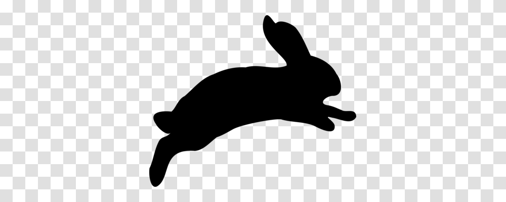 Arctic Hare European Hare European Rabbit Snowshoe Hare Domestic, Gray, World Of Warcraft Transparent Png