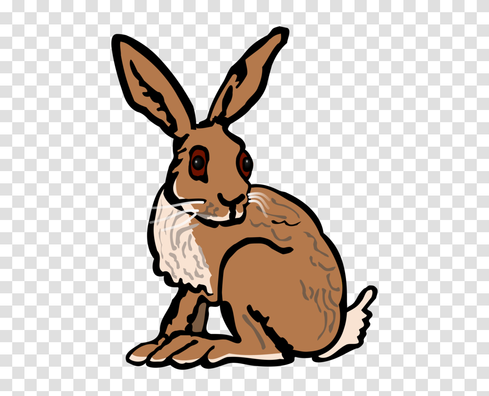 Arctic Hare European Hare European Rabbit Snowshoe Hare Domestic, Kangaroo, Mammal, Animal, Wallaby Transparent Png