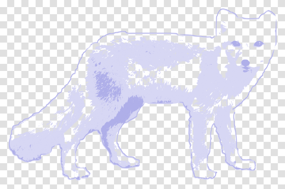 Arctic Wolf Arctic Fox Clipart, Mammal, Animal, Canine, Cow Transparent Png