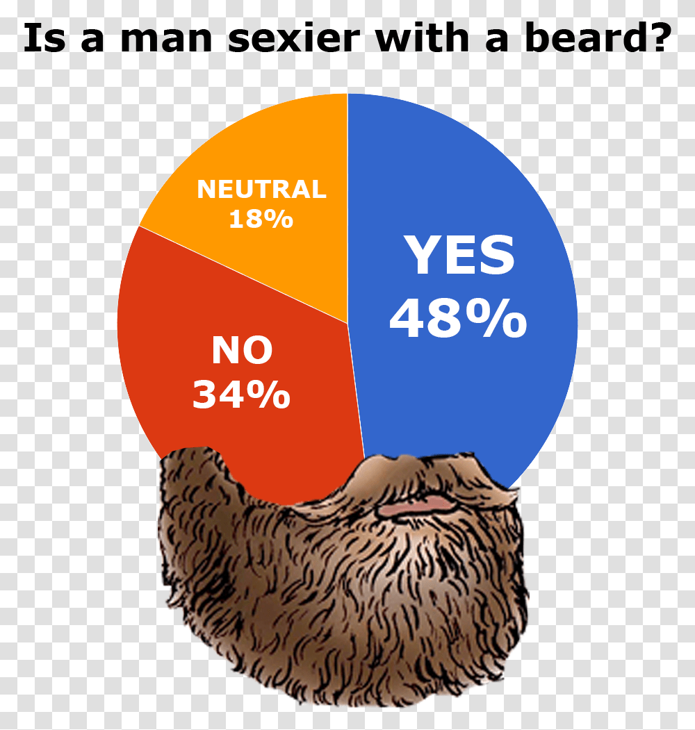 Are Beards Sexy Sexy Pie Chart, Plant, Animal, Bird, Chicken Transparent Png
