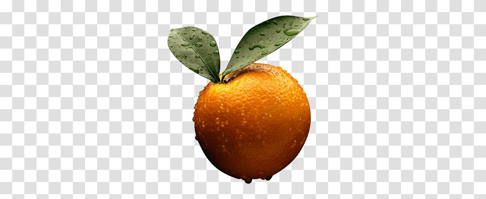 Are Oranges Your Favorite Fruit Marque Urgent Care, Citrus Fruit, Plant, Food, Grapefruit Transparent Png