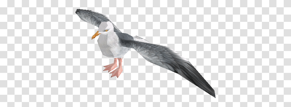 Are Seabirds Of The Family Laridae Atlantic Puffin, Animal, Seagull, Flying, Beak Transparent Png