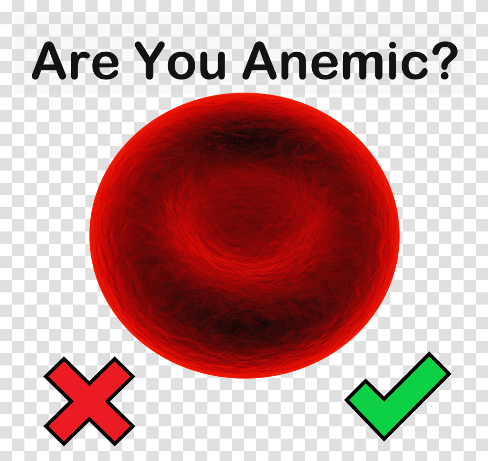 Are You Anemic Circle, Sphere, Pattern Transparent Png