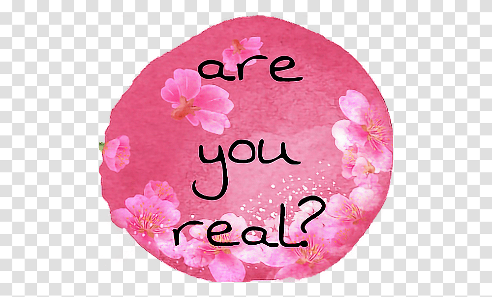 Are You Real Tumblr Aesthetic Pink Text Flower Flower, Clothing, Birthday Cake, Dessert, Food Transparent Png