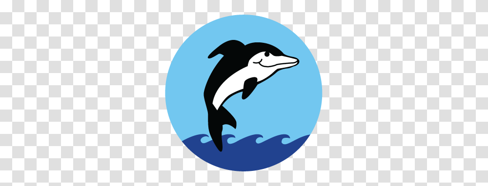 Area Activities, Sea Life, Animal, Dolphin, Mammal Transparent Png