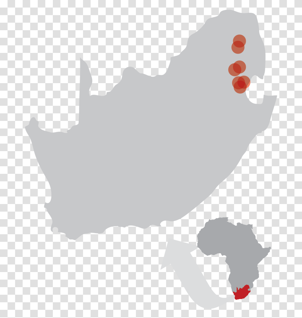 Areas In South Africa Being Impacted By Hands At Work, Person, Human, Animal, Bird Transparent Png
