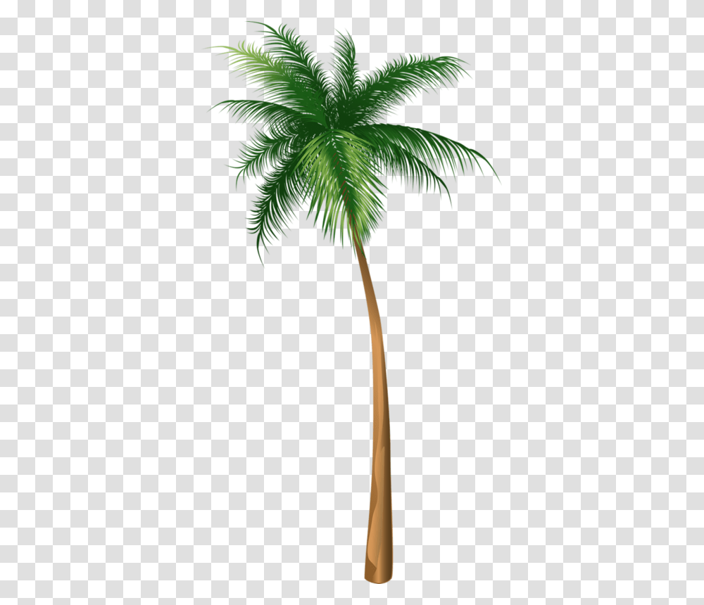 Arecaceae Coconut Tree Illustration Hq Image Free Palm Tree Illustration, Plant, Leaf, Flower Transparent Png