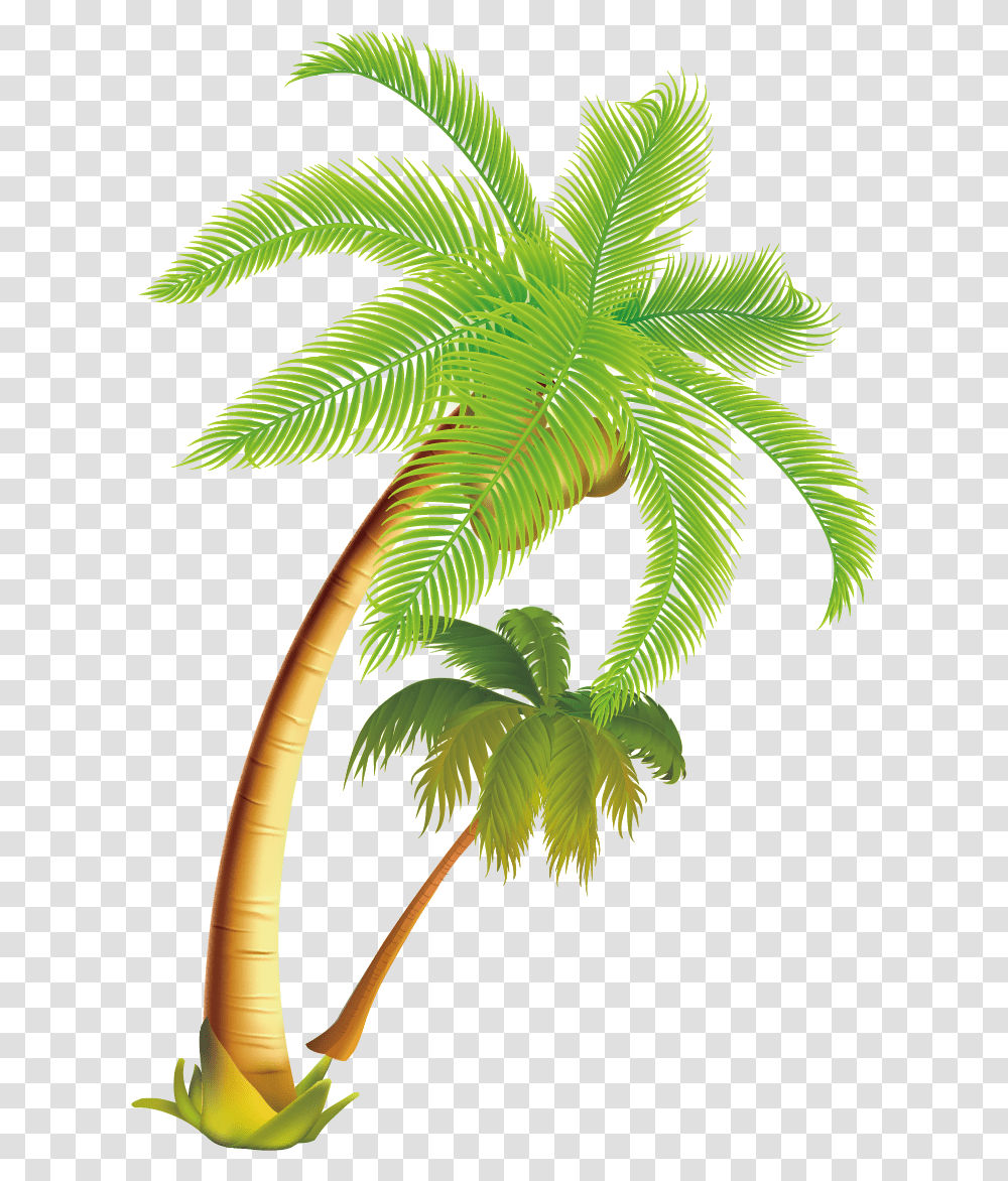 Arecaceae Coconut Tropical Material Vector Coconut Tree, Plant, Palm Tree, Bird, Animal Transparent Png