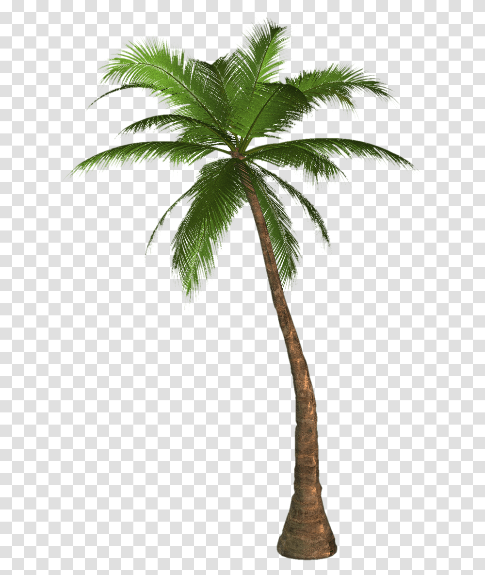 Arecaceae Desktop Wallpaper Tree Clip Art Palm Tree Background, Plant, Leaf Transparent Png