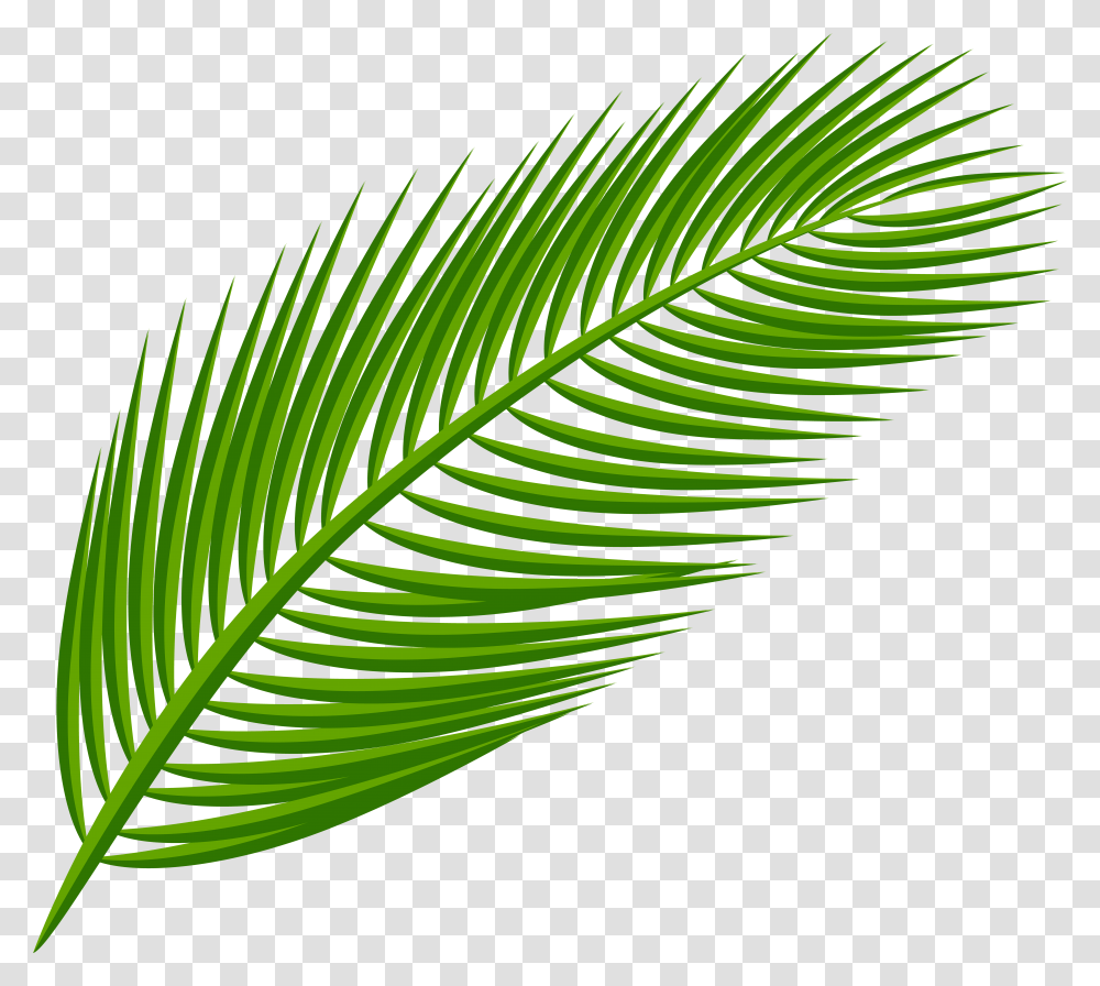 Arecaceae Leaf Clip Art Background, Plant, Green, Veins, Bird Transparent Png