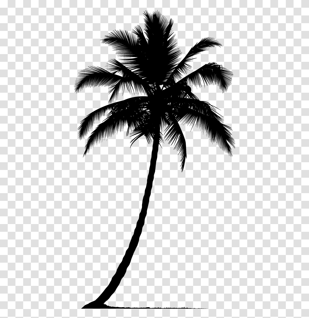 Arecaceae Silhouette Tree Silhouette Palm Tree, Gray, World Of Warcraft Transparent Png