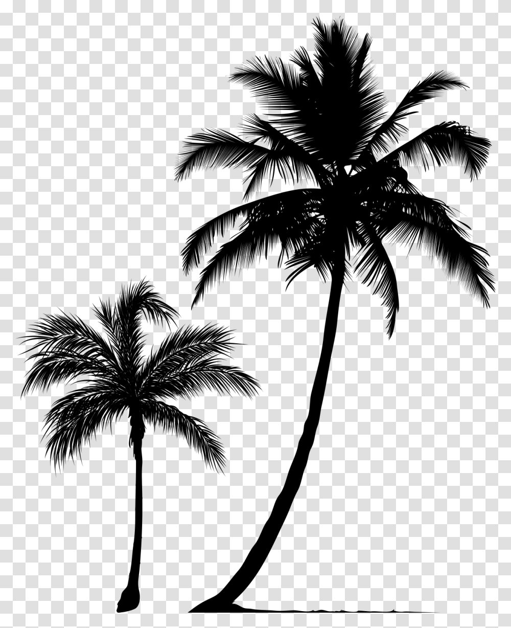 Arecaceae Tree Silhouette Clip Art Coconut Tree Silhouette, Gray, World Of Warcraft Transparent Png