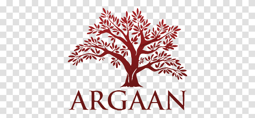 Argaan Tree Logo Atlas Cosmetics Meridian School Of Oil Gas Logo, Poster, Plant, Leaf, Text Transparent Png