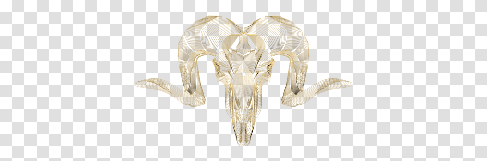 Argali, X-Ray, Medical Imaging X-Ray Film, Ct Scan Transparent Png