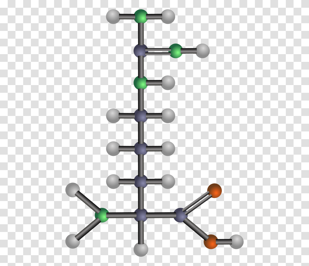 Arginine, Technology, Network Transparent Png