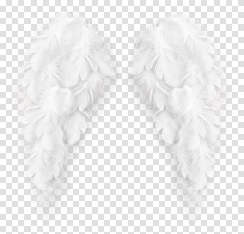 Arianasmoonlxght Fur Clothing Transparent Png